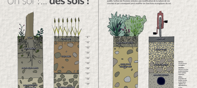 Un sol ?… des sols ! Un sol ?… des sols !